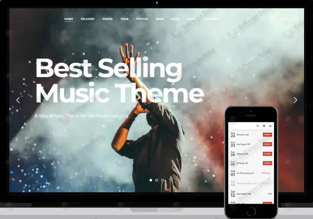 Professional Music WordPress Theme