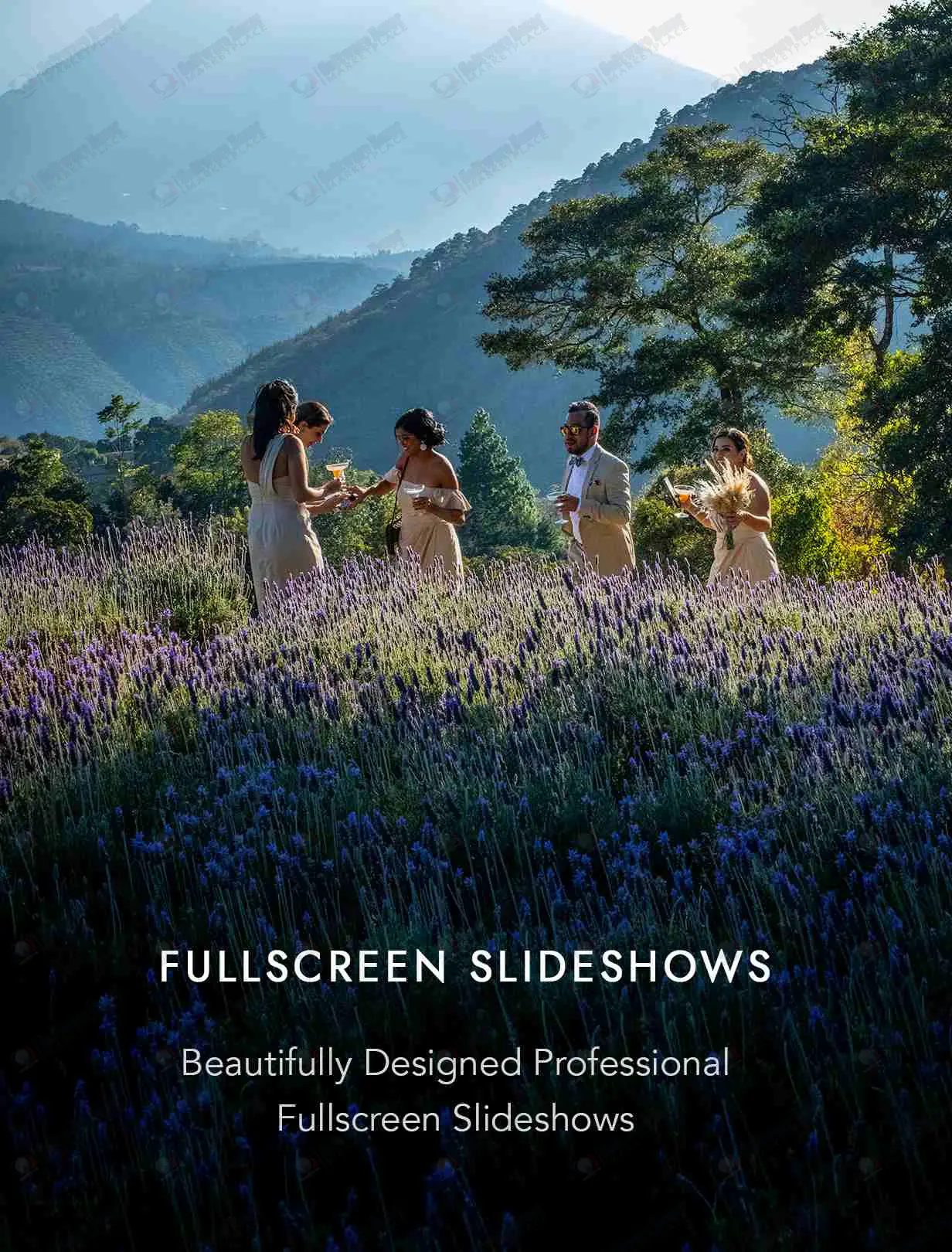 Photography Theme for WordPress